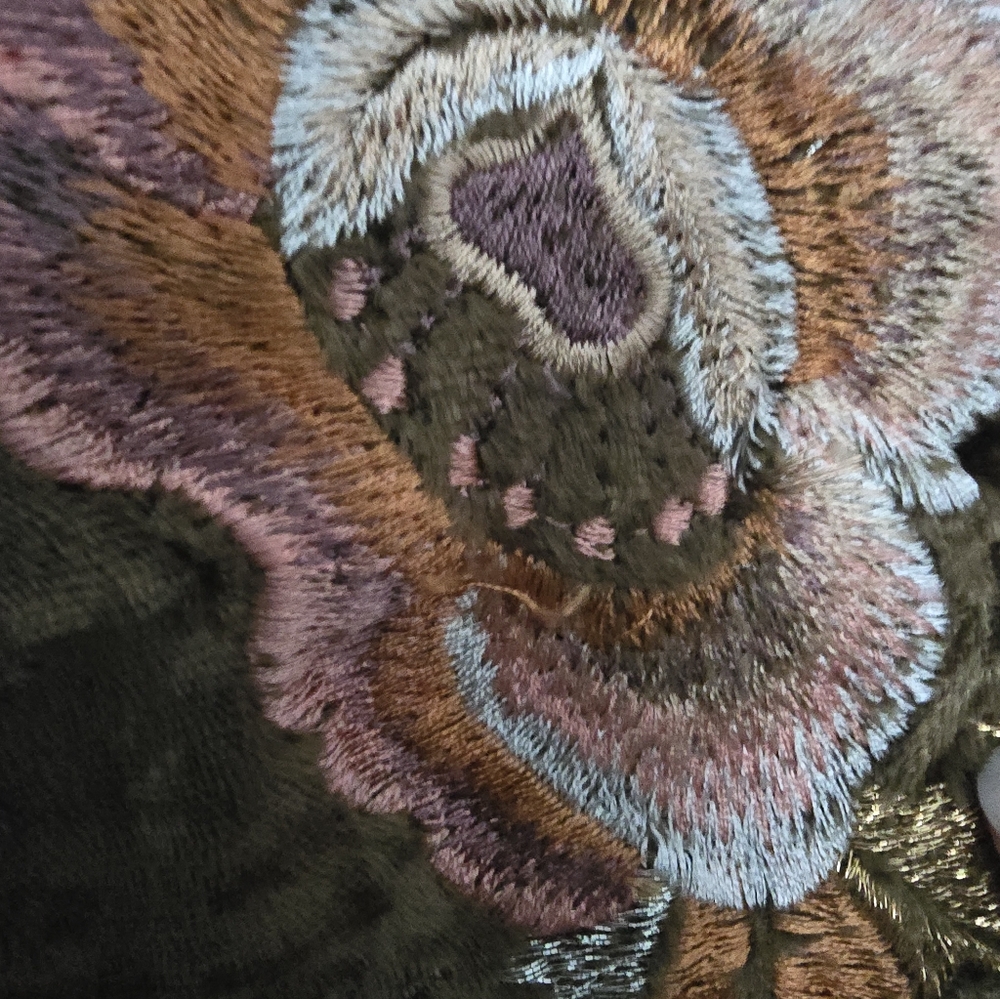 Embroidered Velvet Jacket - Picture 7 of 10